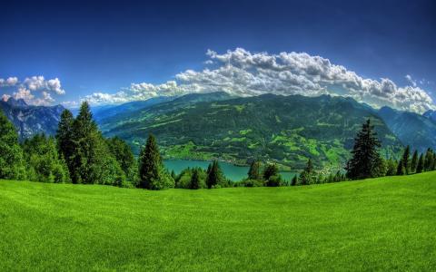 自然，树木，草，绿色，植被，云，天空，距离