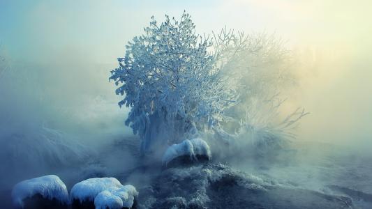 冬天，河，雾，景观