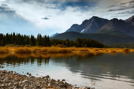 湖，山，森林，加拿大，天空，阿尔伯塔，树木，蓝色，秋天