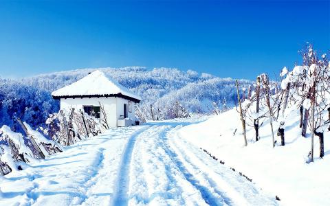 条件，snowdrifts，雪，天气，冬天，自然，景观