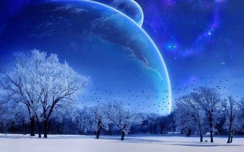 月亮，树木，鸟，雪，星星，星球