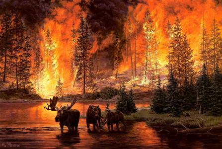 吉姆Tschetter，火，火，森林火灾，驼鹿，森林，河流，艺术
