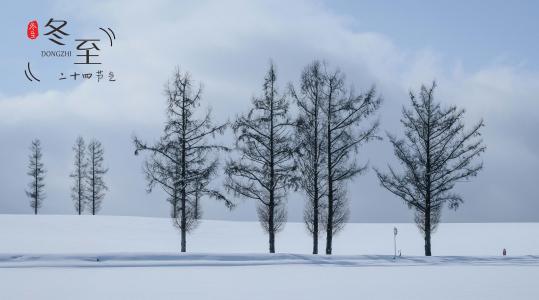 冬至时节唯美雪景