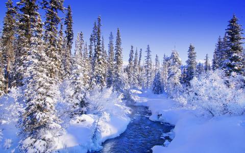 森林，雪，溪流，冬天，童话故事