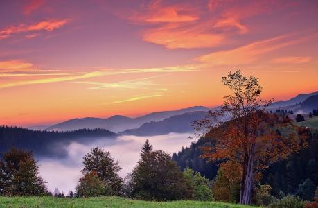 罗马尼亚，日落，山，树，秋天，景观