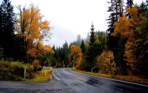 路，秋天，雨后，多云