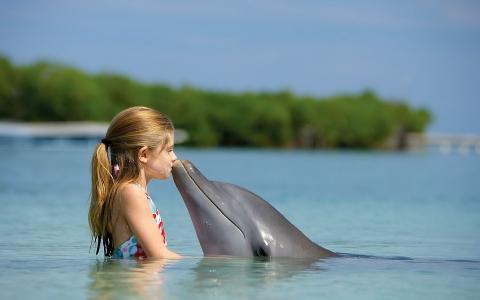 海豚，吻，水，女孩