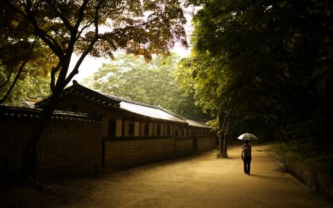 宫殿chhandok，繁荣美德宫殿，chandokkun，首尔，韩国，女孩，伞，墙壁