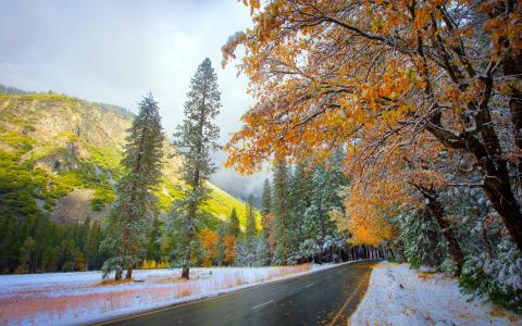 雪，秋，自然，道路