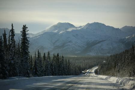 道路，自然，森林，雪，山