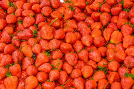 浆果，草莓，收获