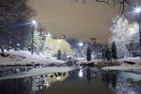 公园，树木，冬天，雪，水，灯，城市