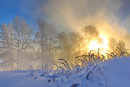 雪，早晨，太阳，性质，冬天