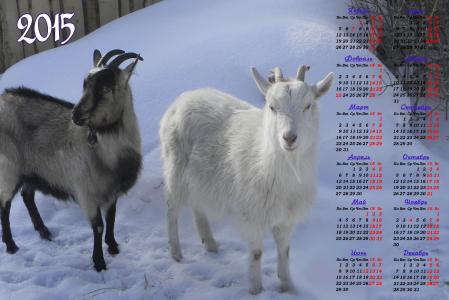 日历，2015年山羊，冬季散步