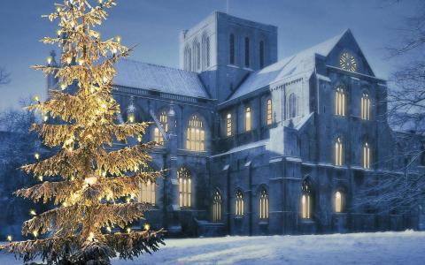大教堂，树，雪，新年，度假，花环，灯