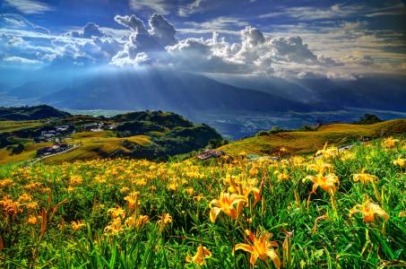 山，坡，鲜花，百合，村庄，云彩，太阳光芒