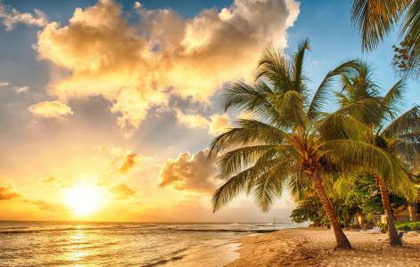 日落，大海，沙滩，棕榈树