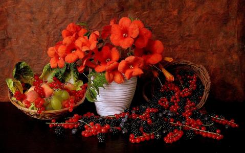 鲜花，浆果，红醋栗，黑莓，葡萄，静物