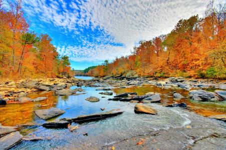 秋天，河，石头，森林，树木，景观