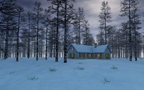 冬天，树木，房子，3d