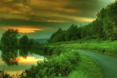 日落，湖，路，树，景观