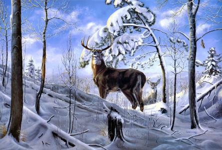 Charles H. Denault，鹿，冬天，森林，雪，树，艺术