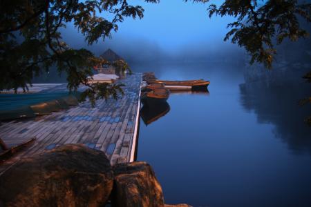 景观，湖，船，码头，树，雾，晚上，性质