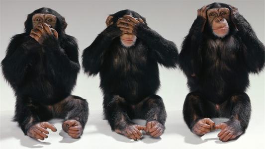 黑猩猩，猴子，沉默，不看，不听