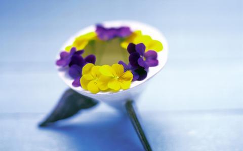三色紫罗兰，鲜花