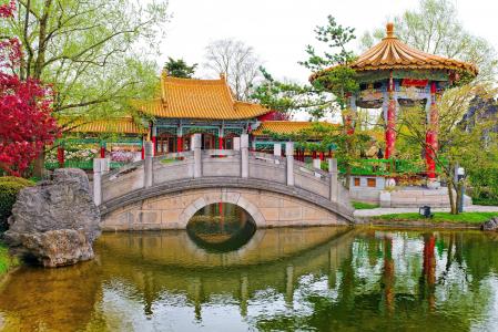 中国花园，瑞士，瑞士，公园，池塘，桥梁，乔木