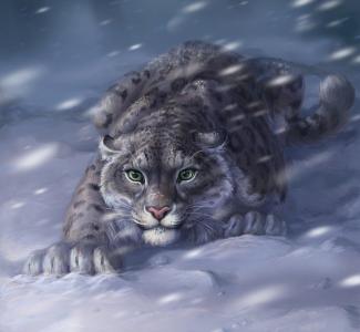 豹子，雪，艺术