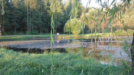 池塘，渔夫，索斯诺夫斯基公园，彼得