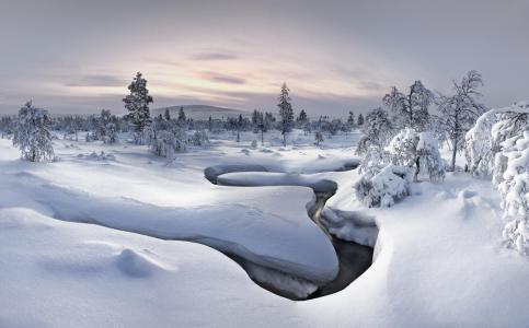 冬天，雪，木材，自然，河流