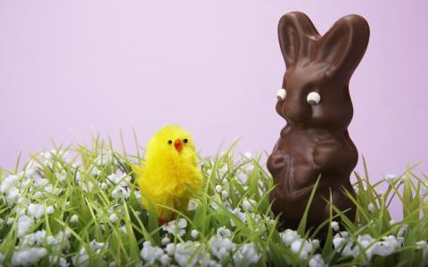 巧克力兔子，鸡，复活节