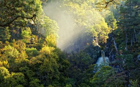 森林，瀑布，光，自然，树木