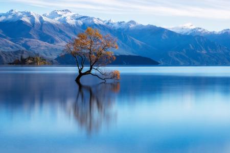 景观，自然，山，湖，水，树，新西兰，瓦纳卡湖