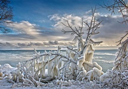 海，冬天，冰柱，树木，结冰