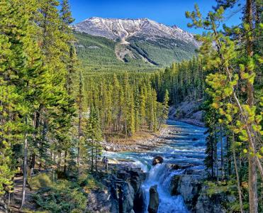 Sunwapta瀑布，贾斯珀国家公园，加拿大艾伯塔省，Sunwapta河，贾斯珀，亚伯大，加拿大，河，山，森林，瀑布