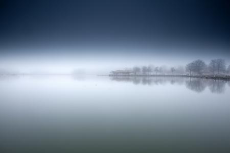 雾，湖，早晨，岸