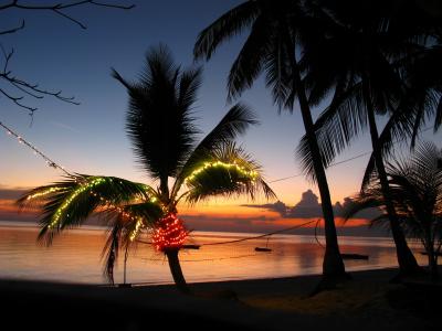菲律宾，日落，海洋，棕榈树，景观