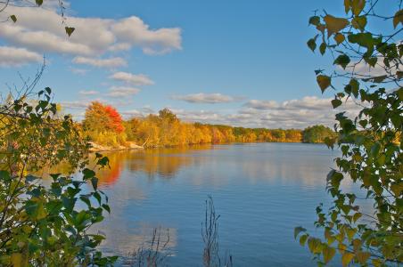 湖，秋天，树，景观