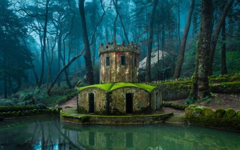 辛特拉，葡萄牙，森林树木，雾，池塘，自然，景观