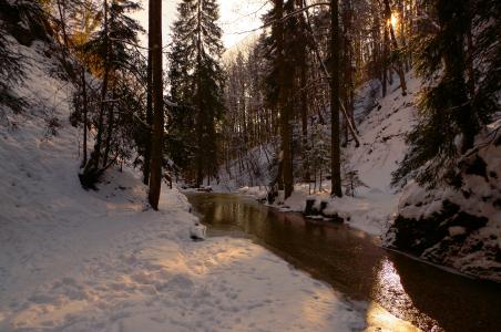 冬天，小河，森林，景观
