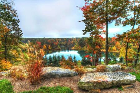 秋天，湖，森林，树木，石头，景观
