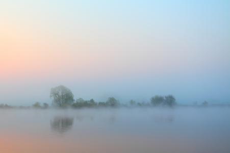 树，水，河，早晨，雾，天空