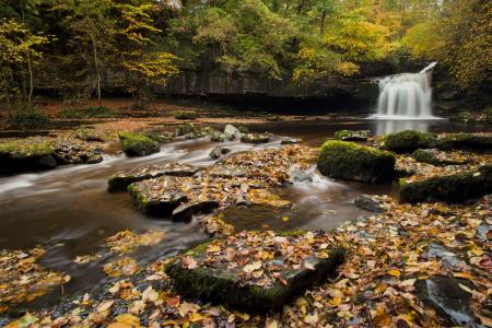 大锅瀑布，英格兰，英格兰，瀑布，河，秋天，叶子，石头，森林，树木
