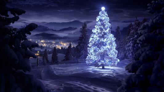 圣诞树，在森林，雪，冬天