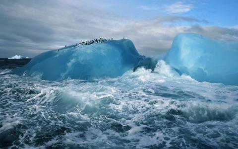 北极，冰，冷，蓝，水