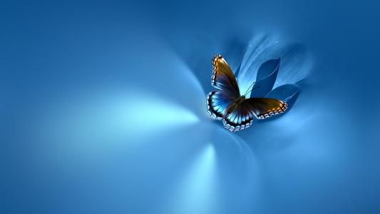蝴蝶，在蓝色，背景