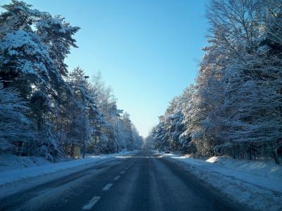 冬天，雪，路，树，积雪覆盖